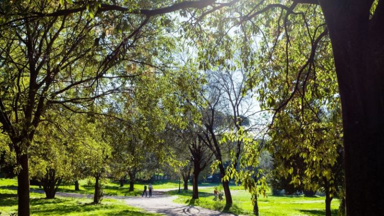 2555 ศาสตราจารย์ ดร.สุนีย์ มัลลิกะมาลย์ และคณะ