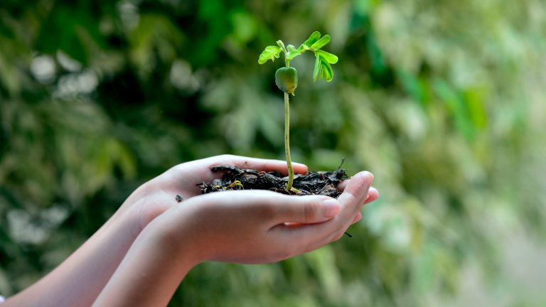 2558 รศ.ดร.วิสาขา ภู่จินดา 2