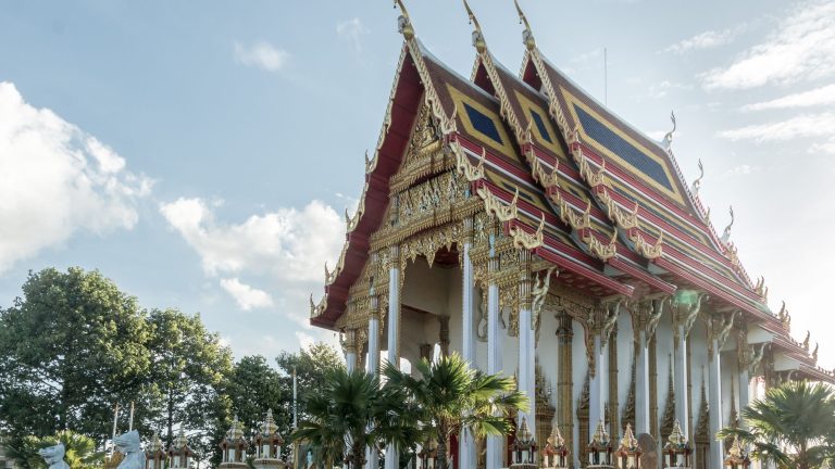 2563 ศาสตราจารย์ ดร.อัญชนา ณ ระนอง