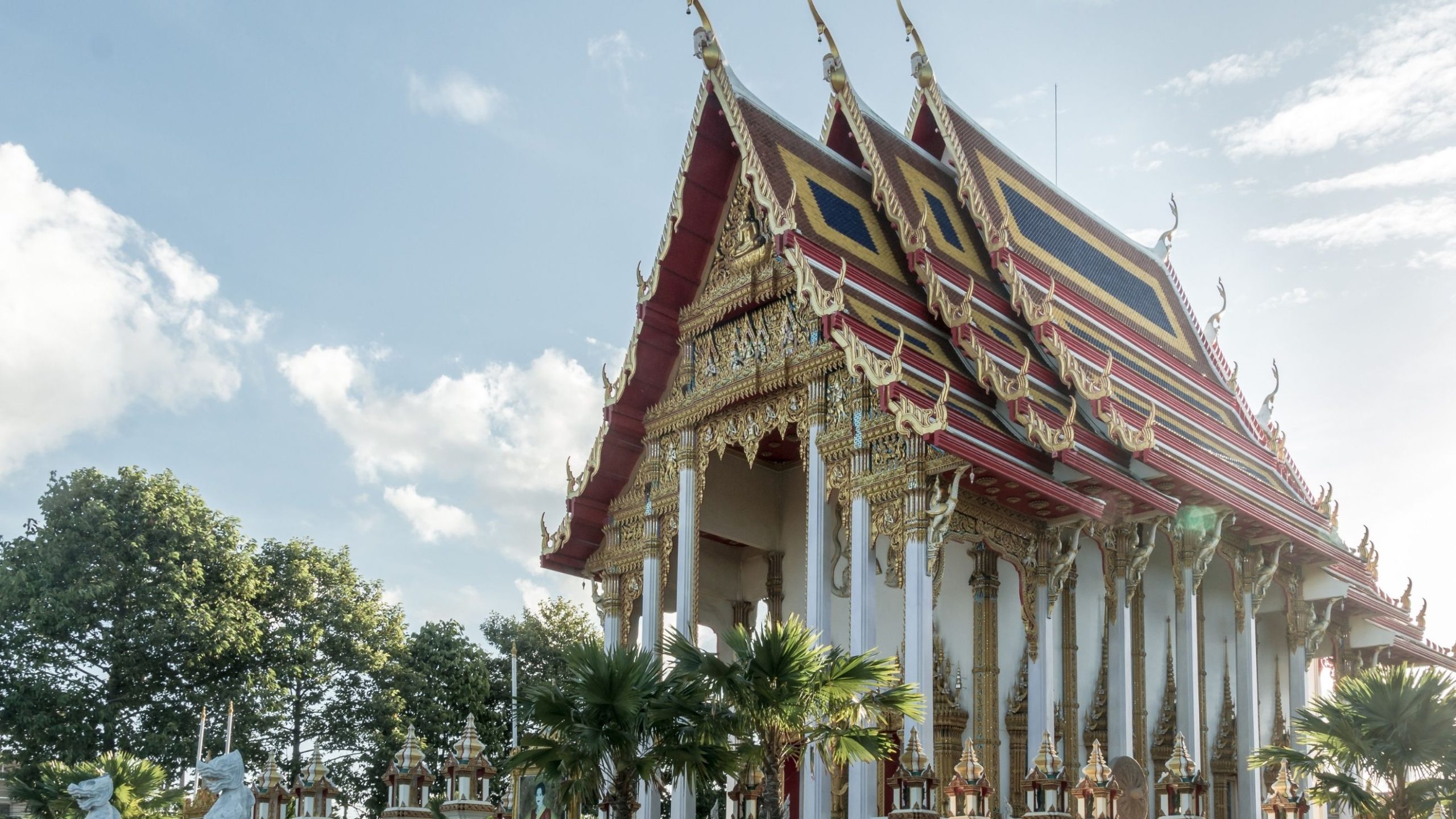 2563 ศาสตราจารย์ ดร.อัญชนา ณ ระนอง scaled